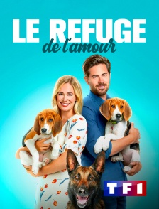 TF1 - Le refuge de l'amour