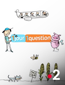 France 2 - 1 jour, 1 question