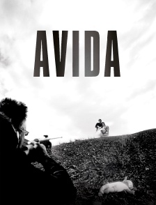 Avida