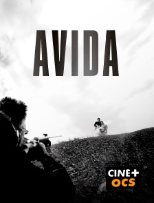 CINÉ Cinéma - Avida