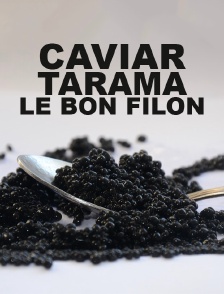 Caviar, tarama, le bon filon