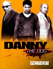 Action - Danny the Dog