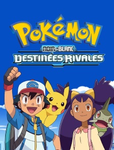 Pokémon XV : Noir & Blanc, destinées rivales