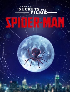 Spider-Man, dans les secrets des films