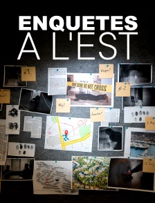 Enquêtes à l'Est : sur la piste des criminels en série