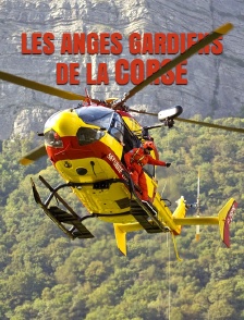 Les anges gardiens de la Corse