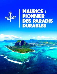 Maurice, pionnier des paradis durables