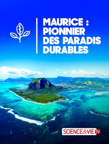 Maurice, pionnier des paradis durables