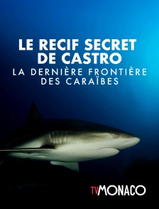 TV Monaco - Le récif secret de Castro - La dernière frontière des Caraïbes