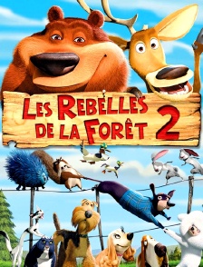 Les rebelles de la forêt 2