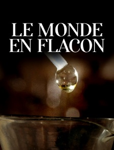 Le monde en flacon