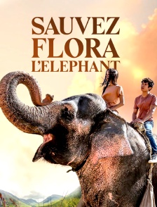 Sauvez Flora l'éléphant