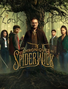 Les chroniques de Spiderwick