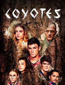Coyotes