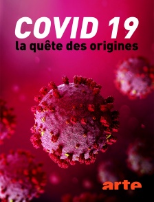 Covid-19, la quête des origines