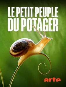 Le petit peuple du potager