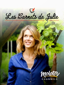 Molotov channels - Les Carnets de Julie