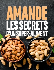 Amande, les secrets d'un super-aliment