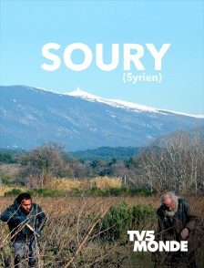 Soury (syrien)
