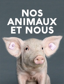 Nos animaux et nous