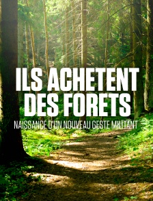Ils achètent des forêts : naissance d'un nouveau geste militant