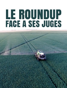 Le Roundup face à ses juges