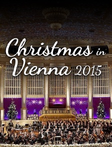 Christmas in Vienna 2015