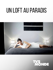 TV5MONDE - Un loft au paradis