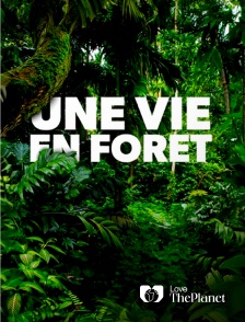 Love the Planet - Une vie en forêt