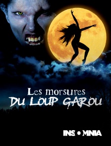 INSOMNIA - Les morsures du loup-garou
