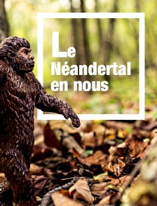 Le Néandertal en nous