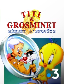 Titi et Grosminet mènent l'enquête