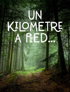 Un kilomètre à pied... *2021
