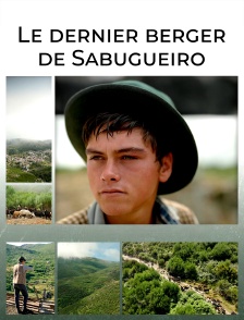 Le dernier berger de Sabugueiro