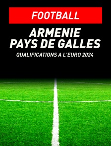 Football - Qualifications à l'Euro 2024 : Arménie / Pays de Galles