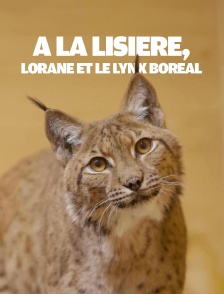 A la lisière, lorane et le lynx boréal