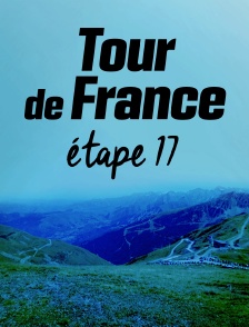 Cyclisme : Tour de France 2021 - Etape 17 : Muret - Saint-Lary Soulan (178 km)