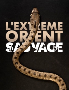 L'Extrême-Orient sauvage