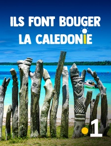 La 1ère Nouvelle-Calédonie - Ils font bouger la Calédonie