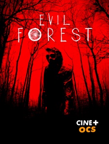 CINÉ Cinéma - Evil Forest