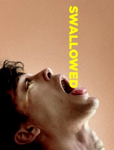 Swallowed