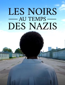 Les Noirs au temps des nazis : Des victimes oubliées