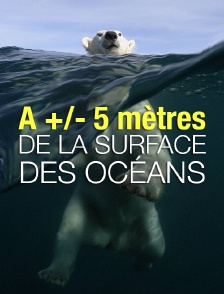 A +/- 5 mètres de la surface des océans *2019