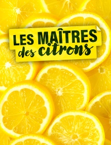 Les maîtres des citrons