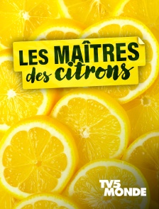 TV5MONDE - Les maîtres des citrons