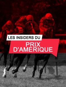 Les insiders du Prix d'Amérique