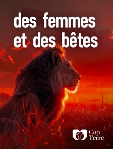 Cap Terre - Des Femmes et des Bêtes