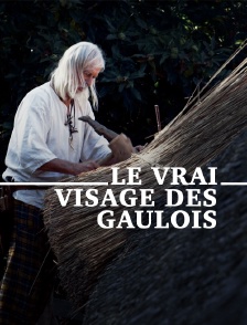 Le vrai visage des Gaulois