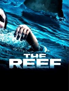 The Reef