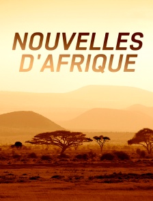 Nouvelles d'Afrique